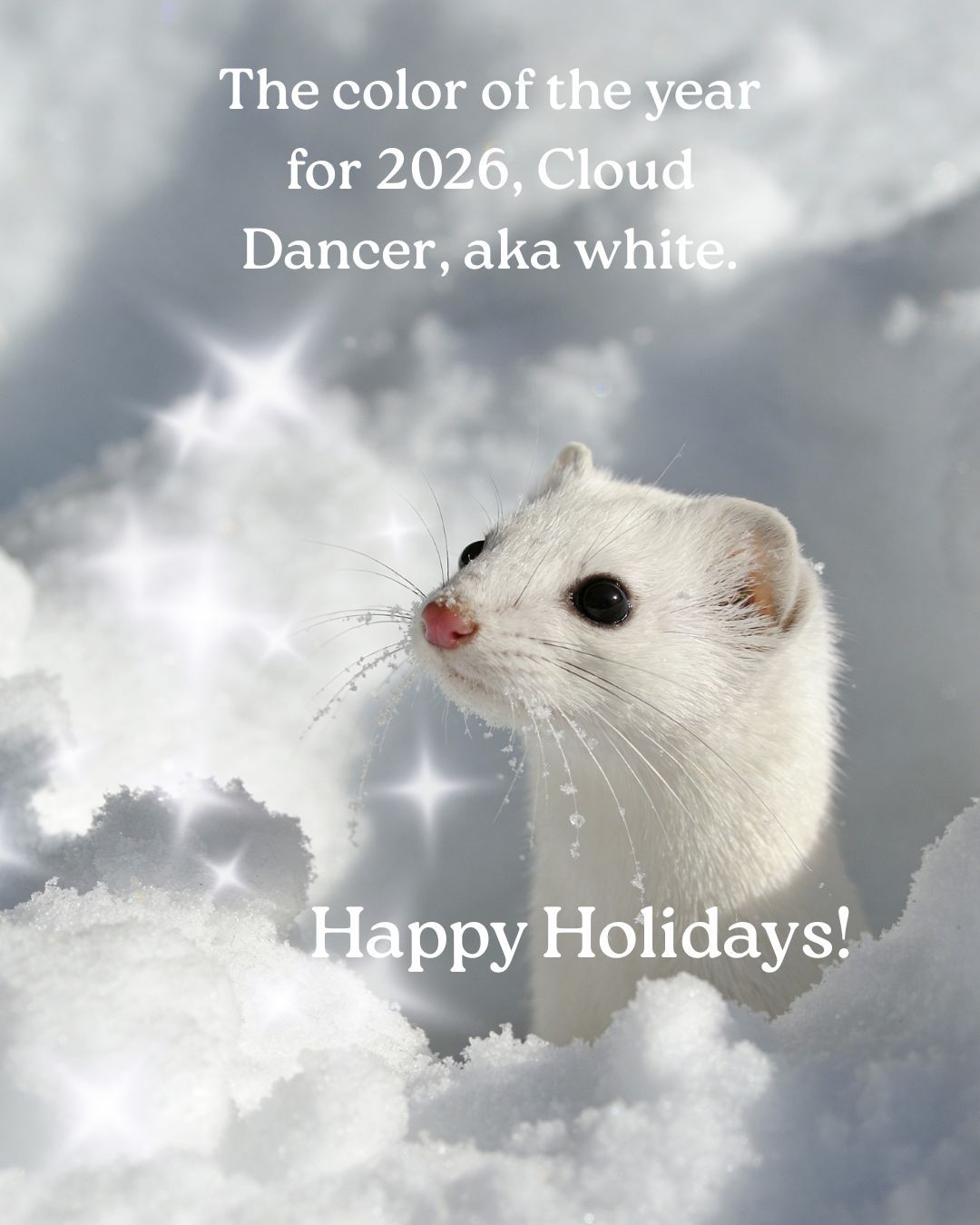 The color of the year for 2026, Cloud Dancer, aka white
